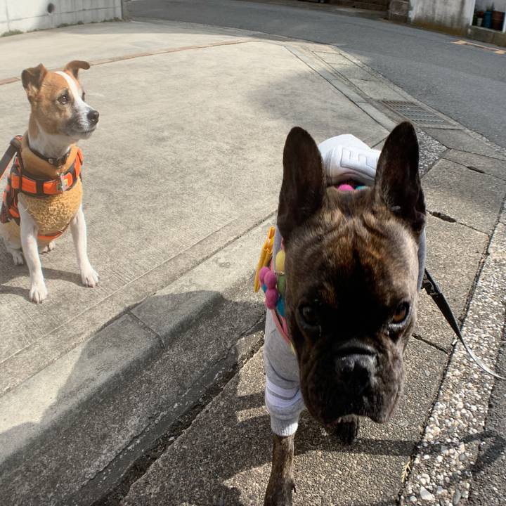 4551c4b9 3c6c 4e22 9b72 c21b3a3a7639 1549590752061