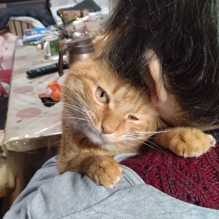 4551d31f 5522 4c5e b806 24c3ebf617d6 1767167605095