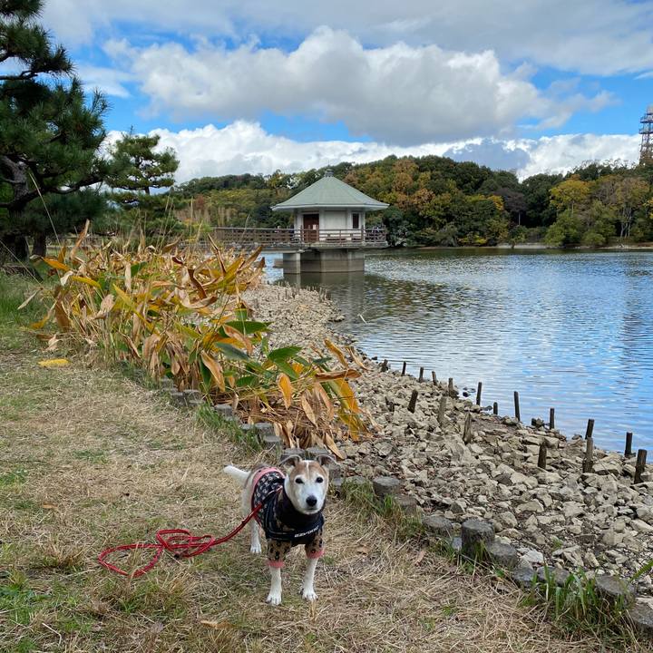 4551dae3 2959 4b66 a343 1f816c24106e 1606098019196