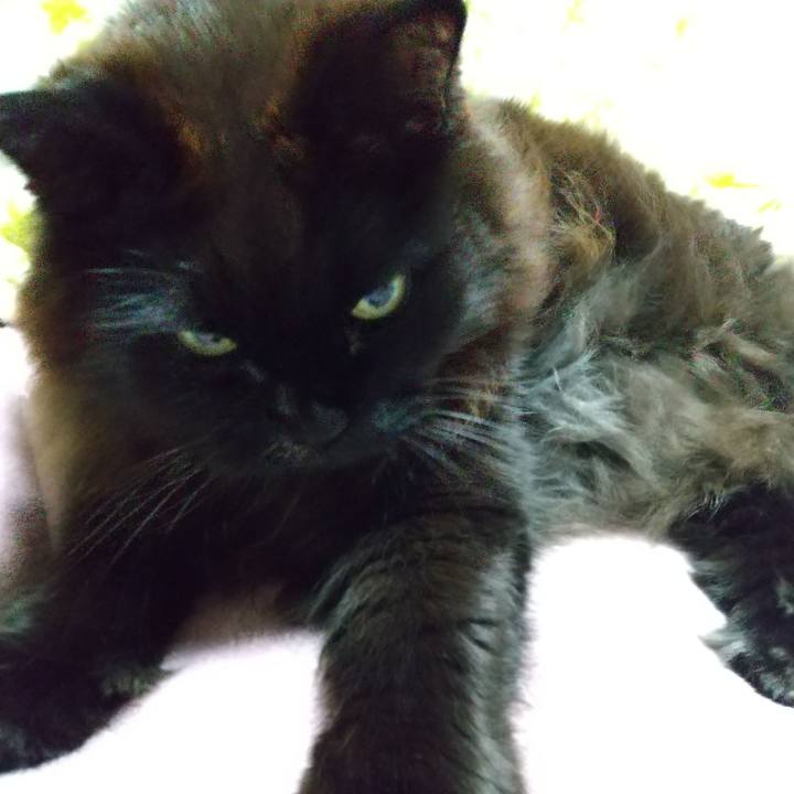 4551f8bd 5cf1 4e55 865f 2718535a8e43 1675239922671