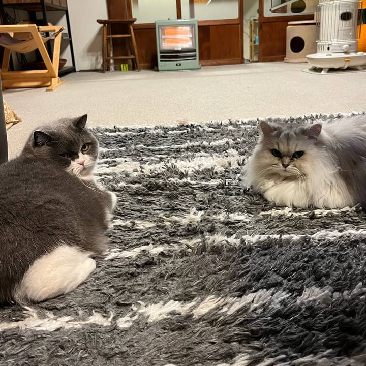 45520854 b5c1 4964 8b5e 7bb042ae6aa4 1707644994229