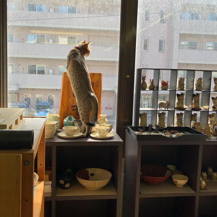 45524547 7de9 4bcf a8d9 629ab3303e96 1603075812406