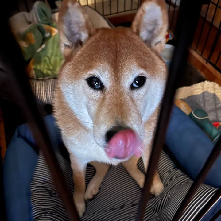 4552861a 1fe7 4723 8820 4e953156094b 1635853999717