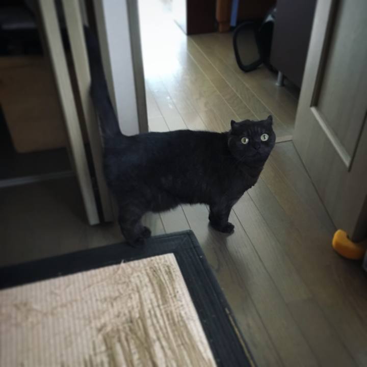 45529979 20ea 41b7 871e 292fe3582799 1522625311823