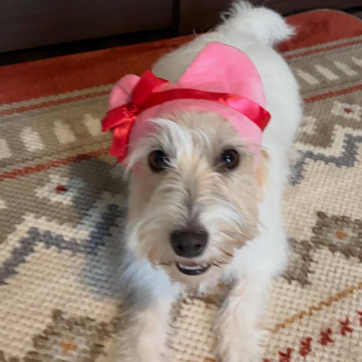 4552e0f8 5486 48e2 8f2b 5cd6c91d5886 1771073237199