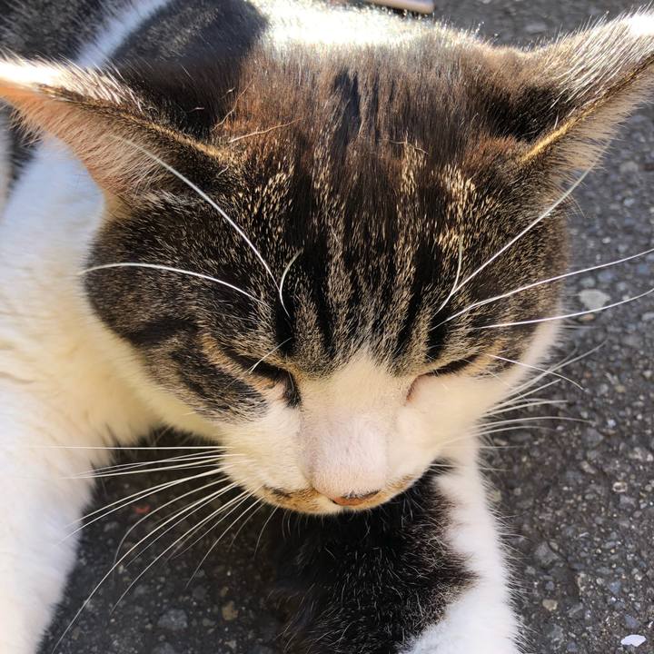 45530ff1 4833 4f4e 936c 71f8c29e07db 1575348709542