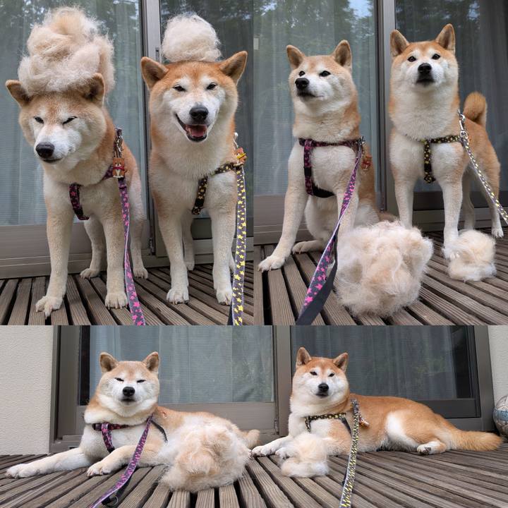 45532b46 0e55 482e af05 02a7e5ee79e7 1752390748079