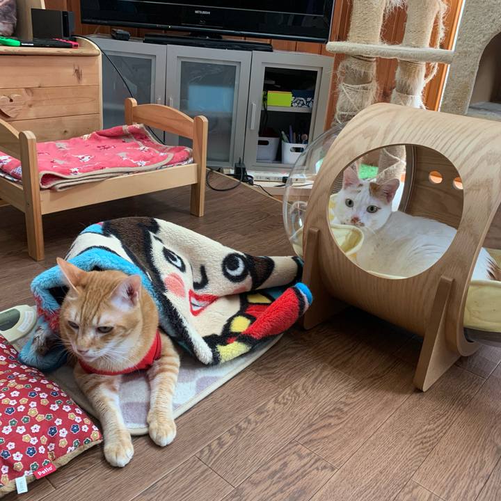 45535989 7fa1 478b af97 b25cafca5fba 1592698196166