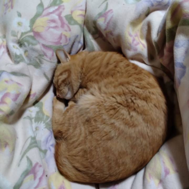 4553bc6d afc5 445d b522 412f8b1aeca6 1668171795992