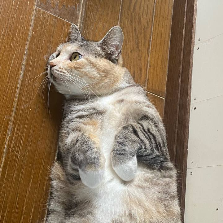 4553cf5d b17c 467c 8e50 ad471d0cb147 1621920497321