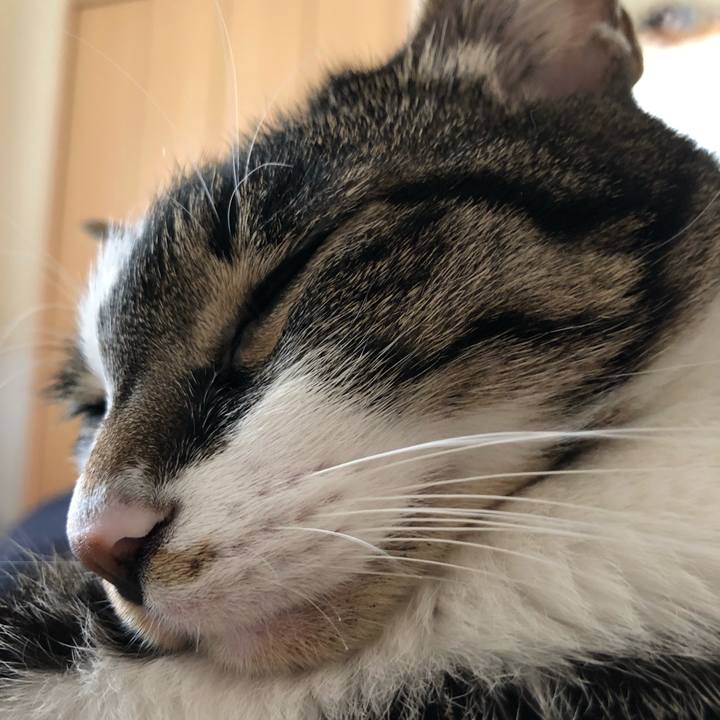 455416a5 bb34 436a 8b14 bbce6361343b 1518351730546