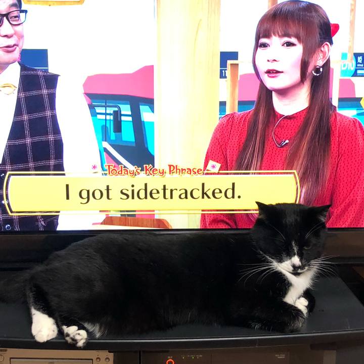 455429fb 1819 41d0 a746 3368e4371186 1578888238638