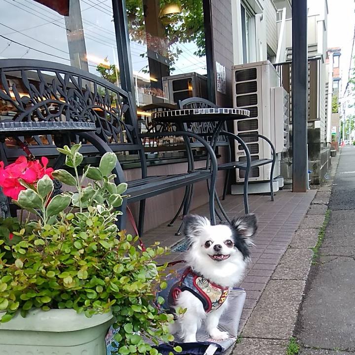 455441b3 77b9 4e70 84e8 ced87f64397e 1556681152061