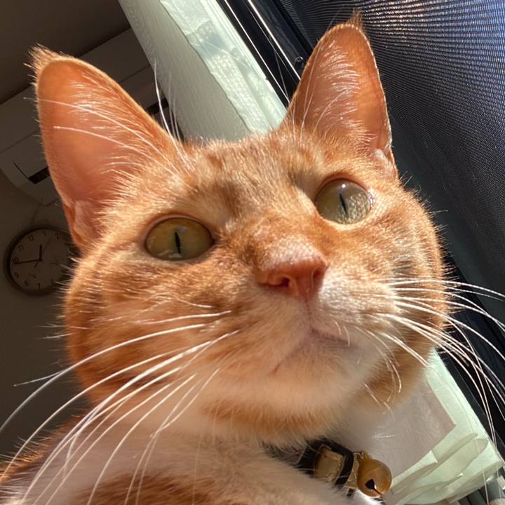 45544f33 9d06 4524 80d1 e36e625724c3 1710599588234