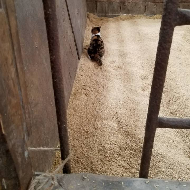 45545283 ed7b 45d0 a79e 3ced5bb9f3fe 1521780583671