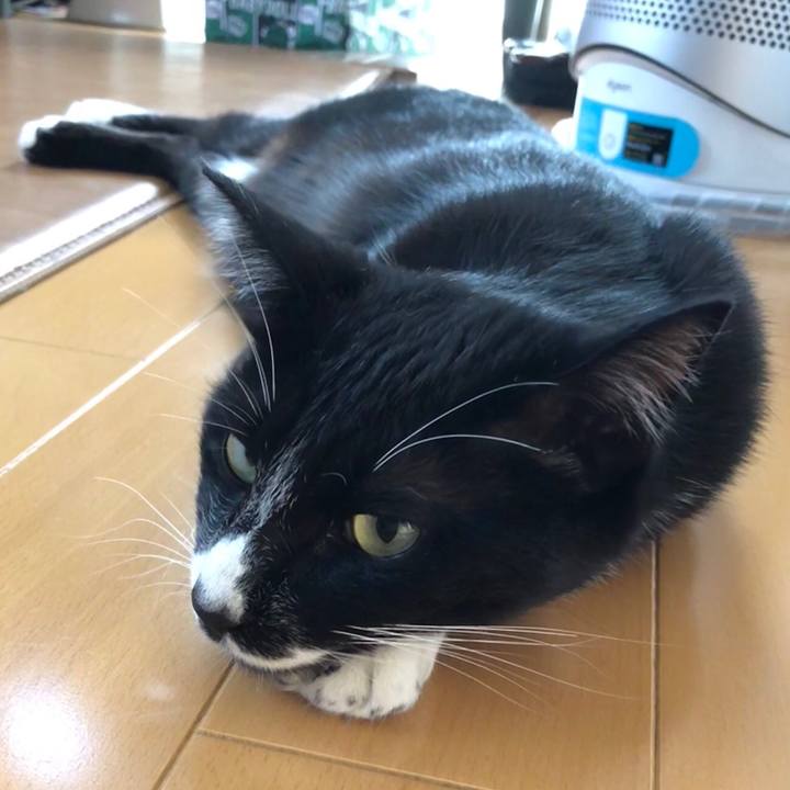 45545961 fc9a 4623 af49 4099490910f1 1527651559993