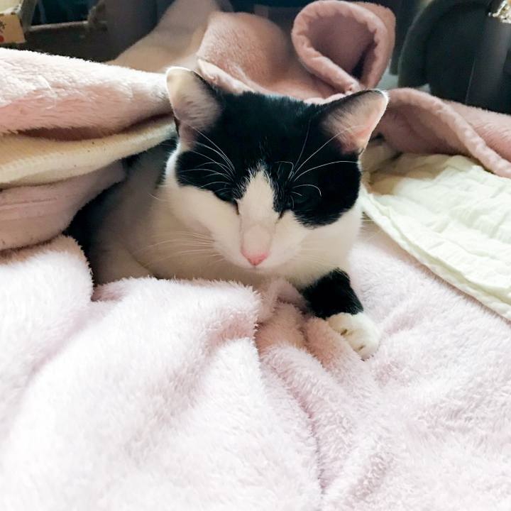 455460f3 83aa 45af 8cb1 a56630c68059 1519088490254