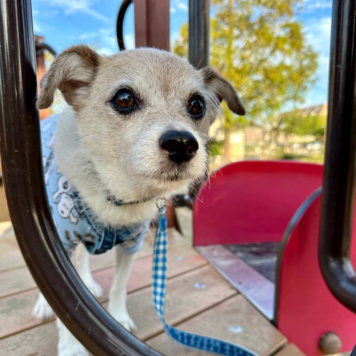 4554c5e2 905a 4570 8c88 fa8efa01a392 1729731338133