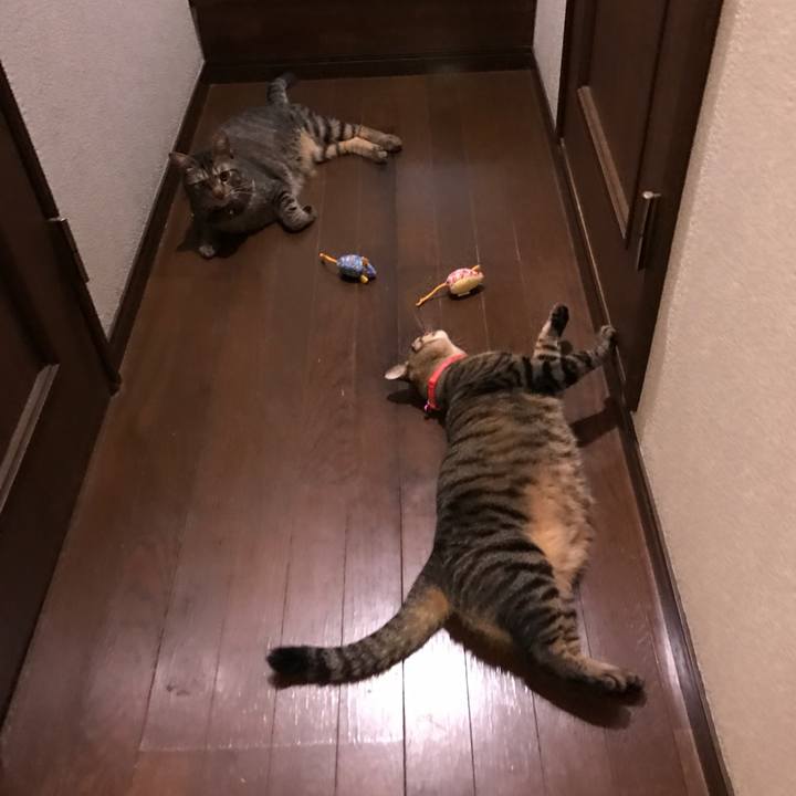 45553760 b992 47b7 bde9 1a6dcff15a34 1537275674604