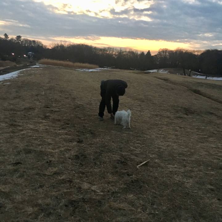 45557437 0308 4fec 945b 88502bf532af 1517436734814