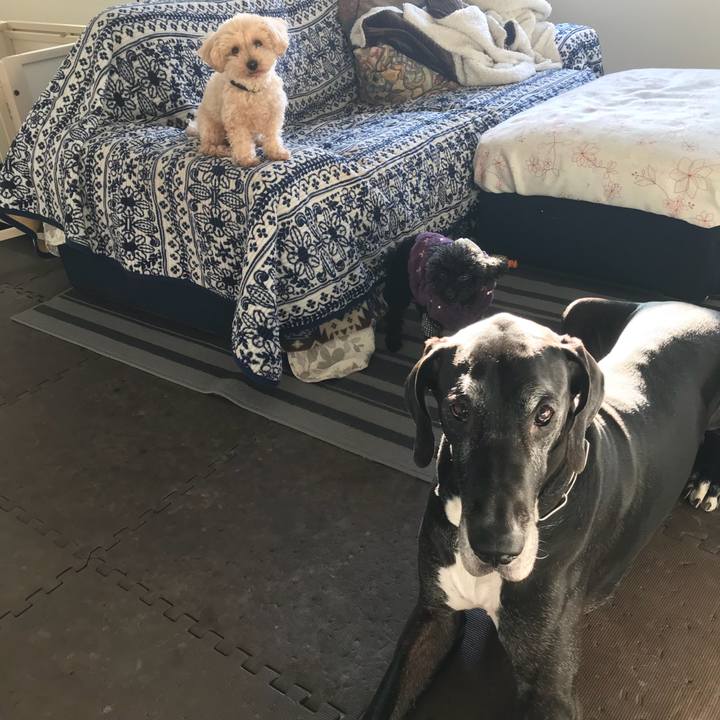 45557d18 8475 4132 a87b 28f5b960ba7f 1518562728565