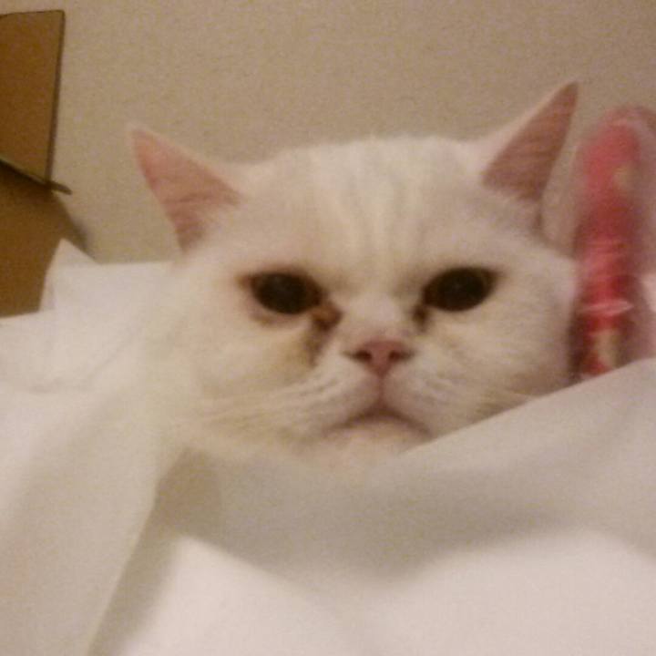 4555a691 1210 48a2 872d 76741b886514 1534976258636