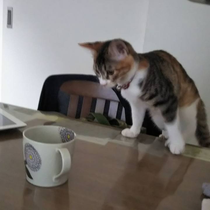 4555cba2 fbaa 4654 8571 3ef79ad632c8 1630461528140