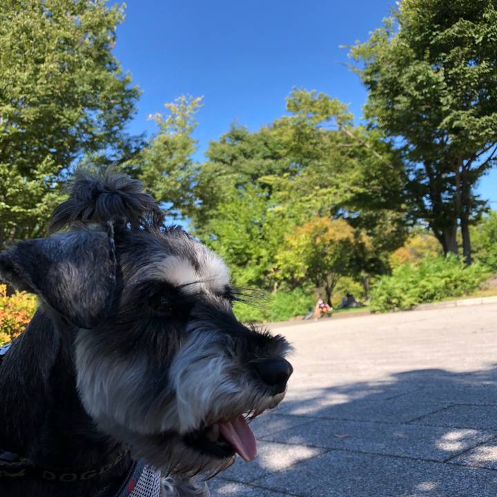 455618df 1719 4b1f a76c 5f4d9dc57c7b 1632105204503