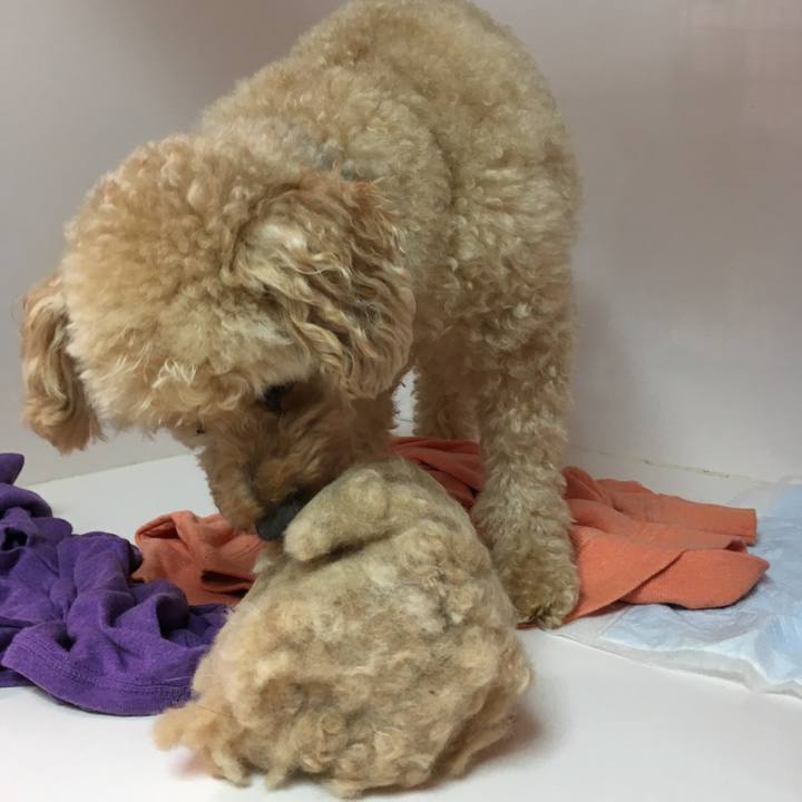 455659ba fe33 4b93 9248 1b09399c9813 1508303634549