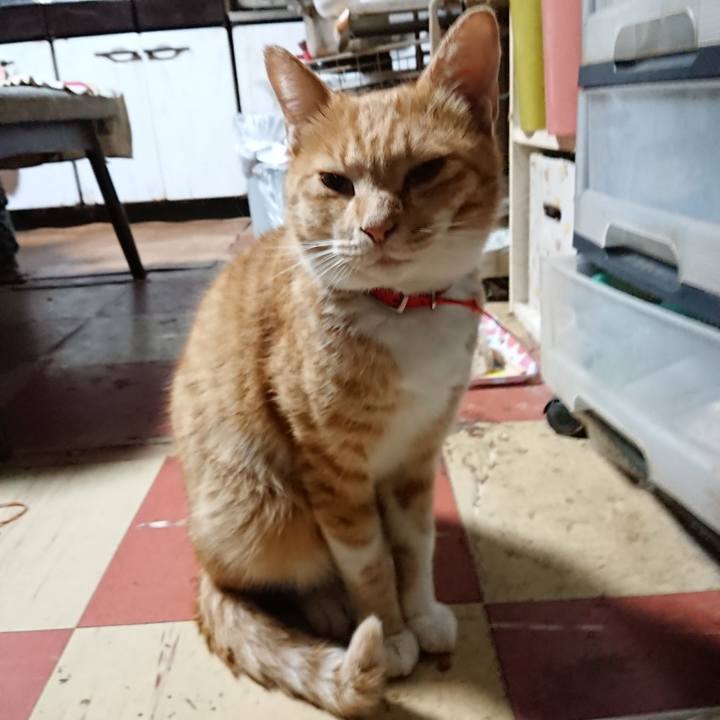 455674c9 6e64 4780 b3bd 8812890566b8 1569785940828