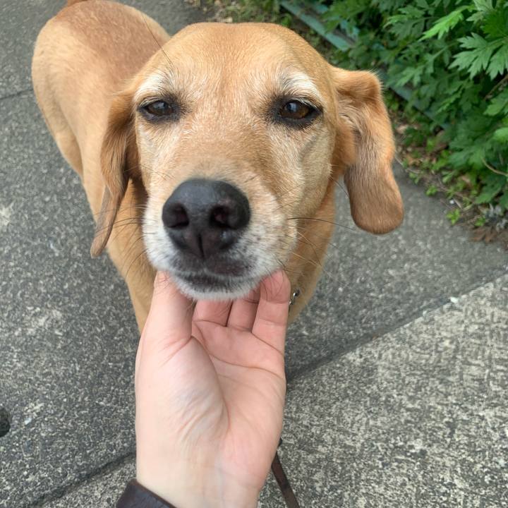 455694c8 f471 46f9 9e3d 2f34fd624900 1619992540504