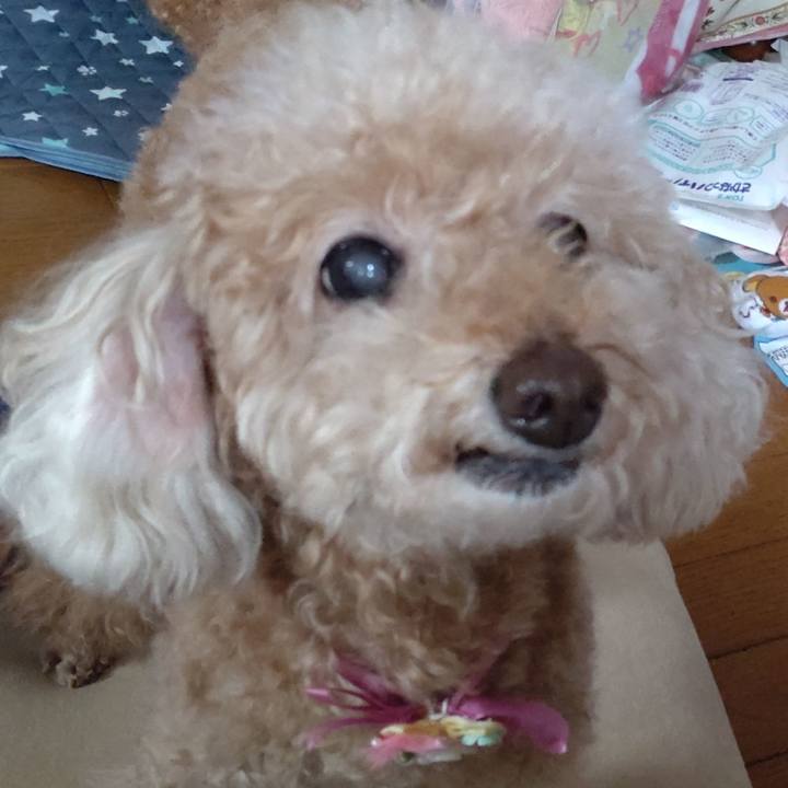 4556a7e5 baef 48e0 a792 d3d6e560e681 1630810581085