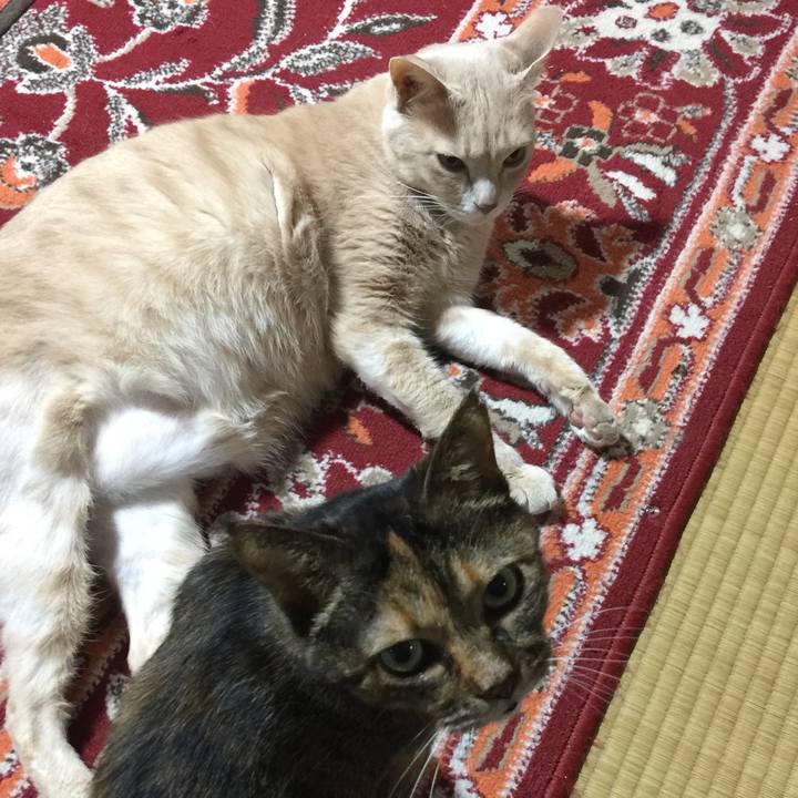 4556da4b 0f8b 4aaa bcf1 bea5af7fcf6f 1580640043036