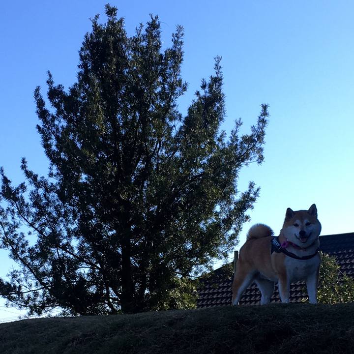 4556e68e b5a7 447f a762 caecb5ca3298 1638736274170