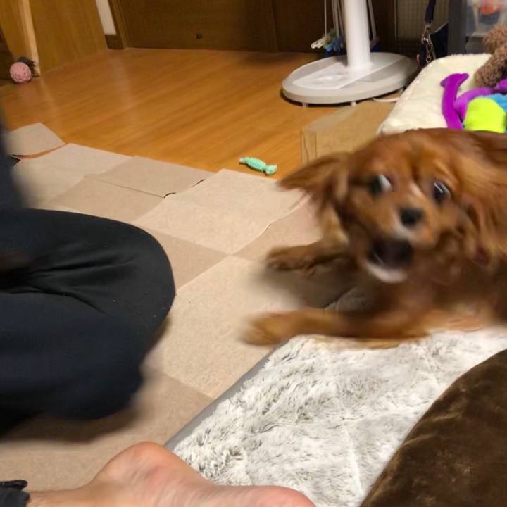 45570153 73d4 4a7a 9a8e d527595fb076 1546947973601