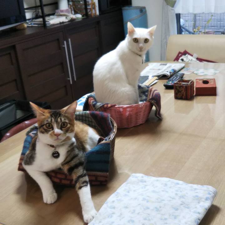 45572406 46ae 4039 83ba c0f2dd6509d3 1639785306548