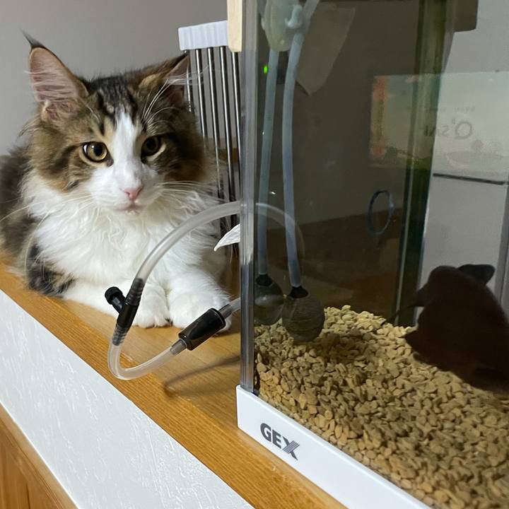 45573106 c00b 45f1 aeb2 78c7fbff2370 1636316129571