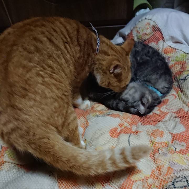 45579e81 ca84 4fd0 b22d e7380ae1a1cb 1572784213891