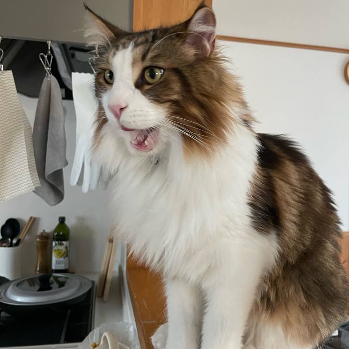 4557ab22 339c 4320 bb8e cd84b42e0466 1666304323815