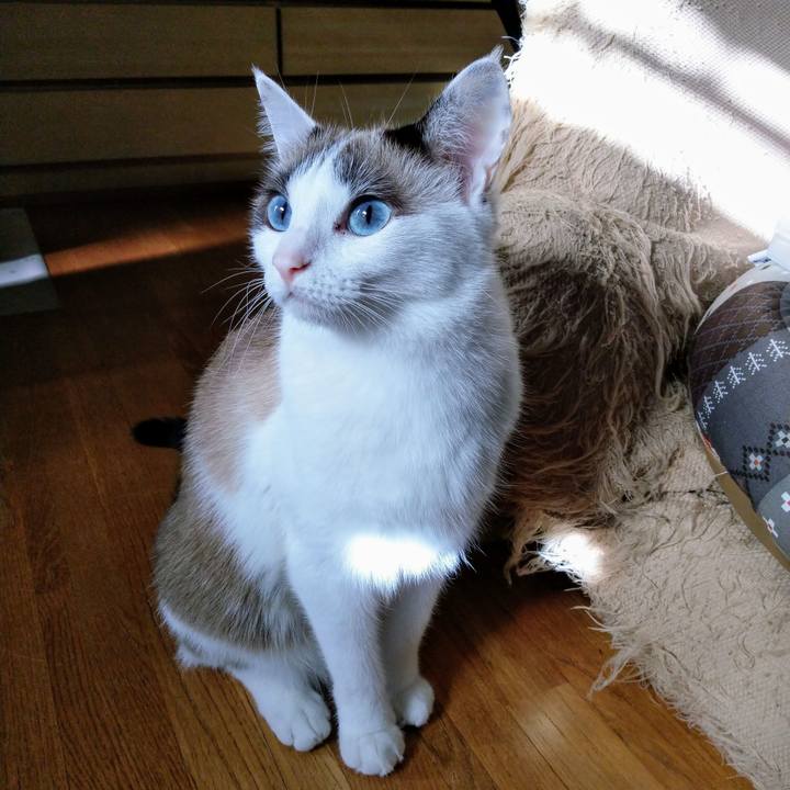 4557c624 8db8 4e83 99ac ca4969904e5d 1572996643877