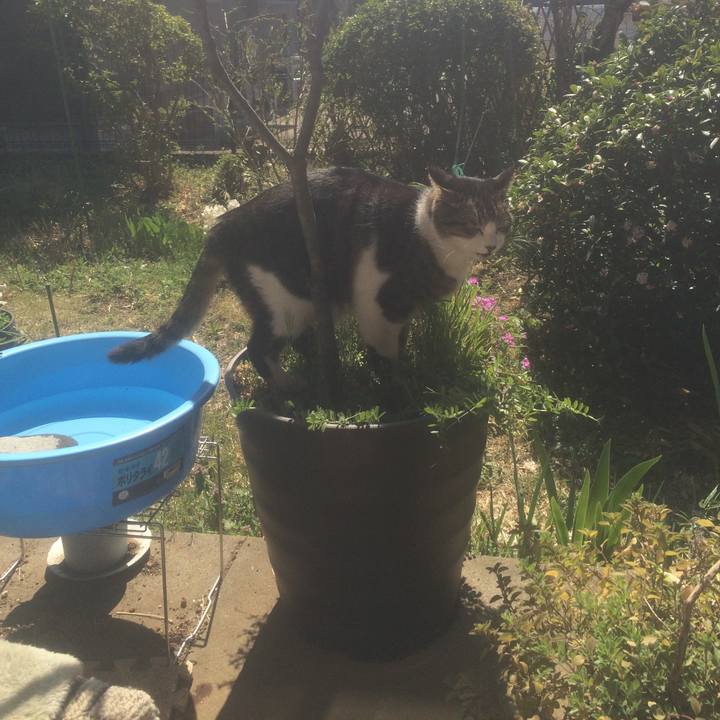 4557ea25 3898 4f5b abcb 8c819726ae16 1554168367762