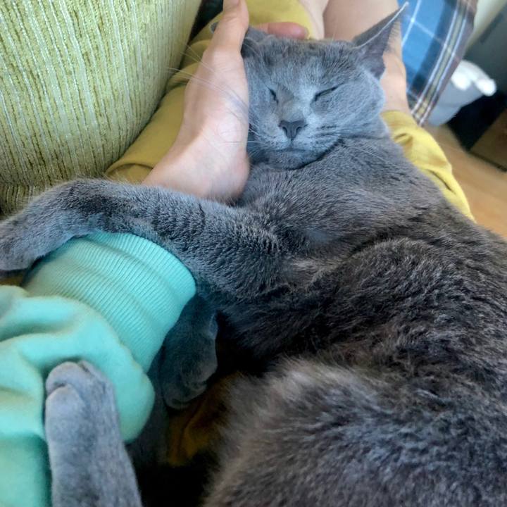 4557ee0c d854 45e9 b684 d27be8d9f363 1602820865671