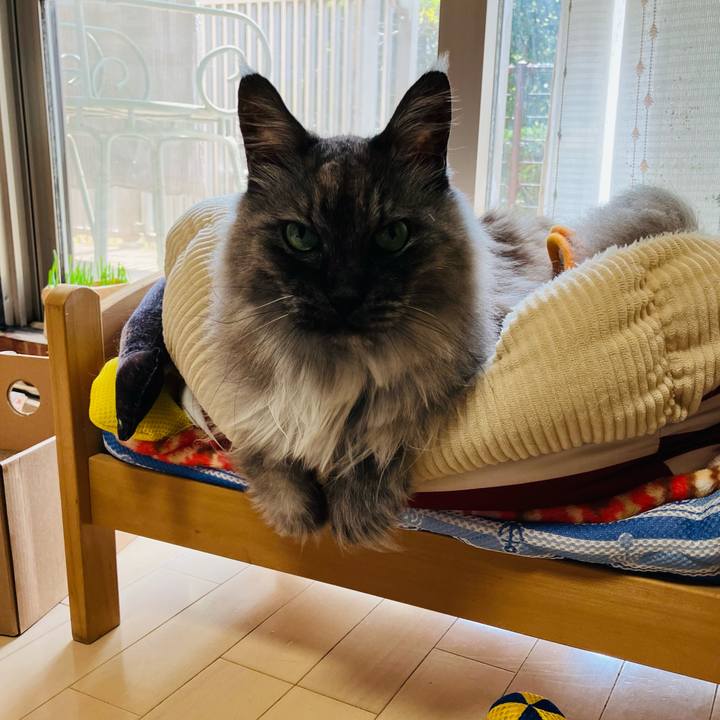 4557fda5 c51a 4f25 b79d 31212fd2c6ac 1742876723667