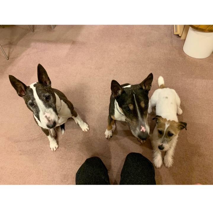 45582acc f07f 4752 a7c5 d069c35c589b 1583494513450