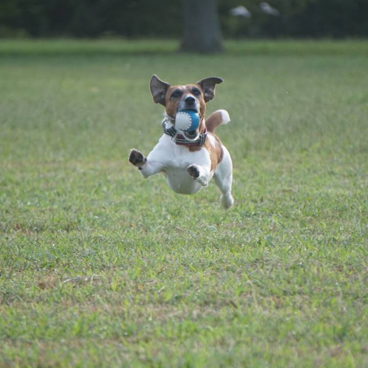 455831bf 6b00 432b ba71 d31d33fbb876 1570404576682