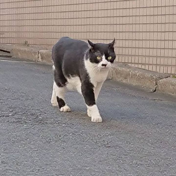 45586504 68ab 420a b52a 7a176825c084 1694928341945