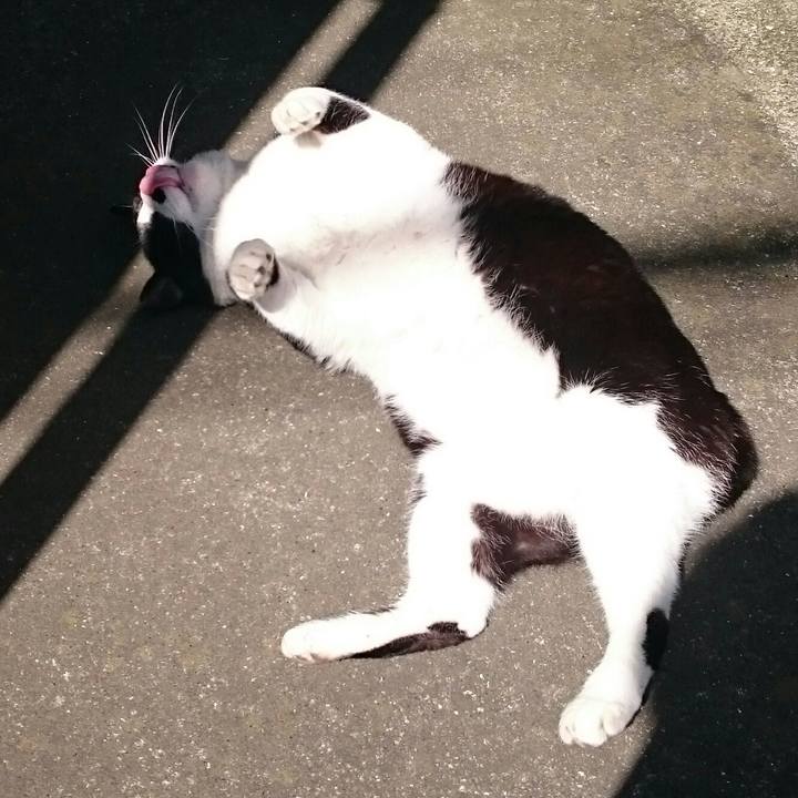 455868ef 0a1a 4503 8e83 e0b4ea95f7a4 1521944640269