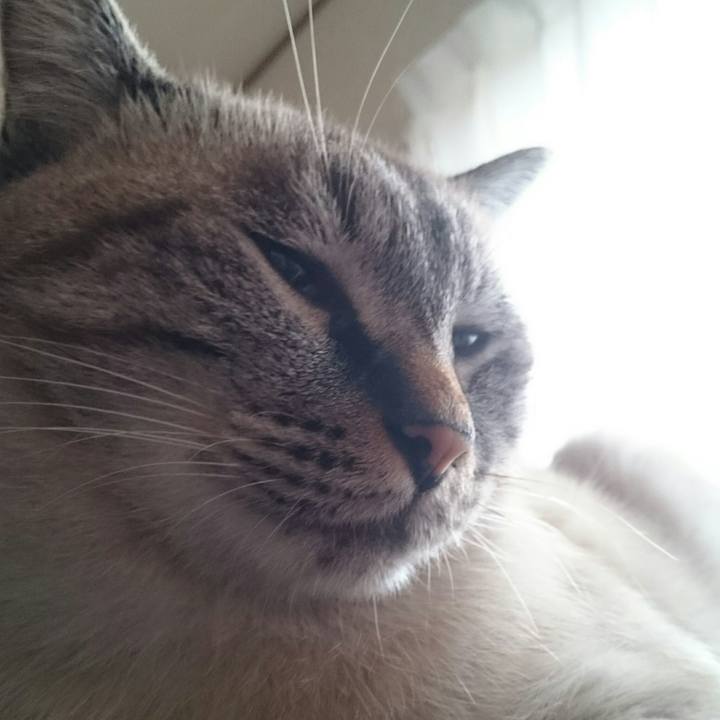 45587206 1b94 4e01 88eb f79c4bd907cb 1508114340787