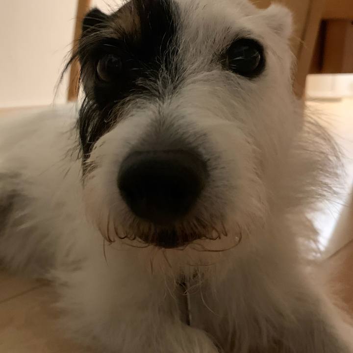 45587ed0 8165 4805 8ee1 13606f94da51 1724248132613