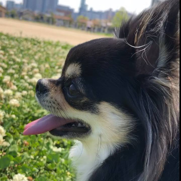 4558b85a bc35 498e a150 6795a815e978 1588338113806